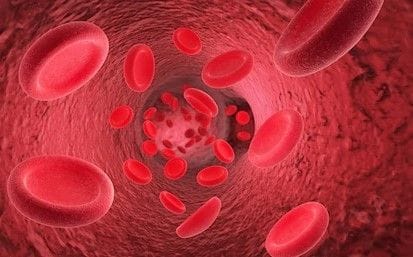Circulation, Qi and Blood Circulation, Qi and Blood